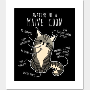 Maine Coon Cat Anatomy Posters and Art